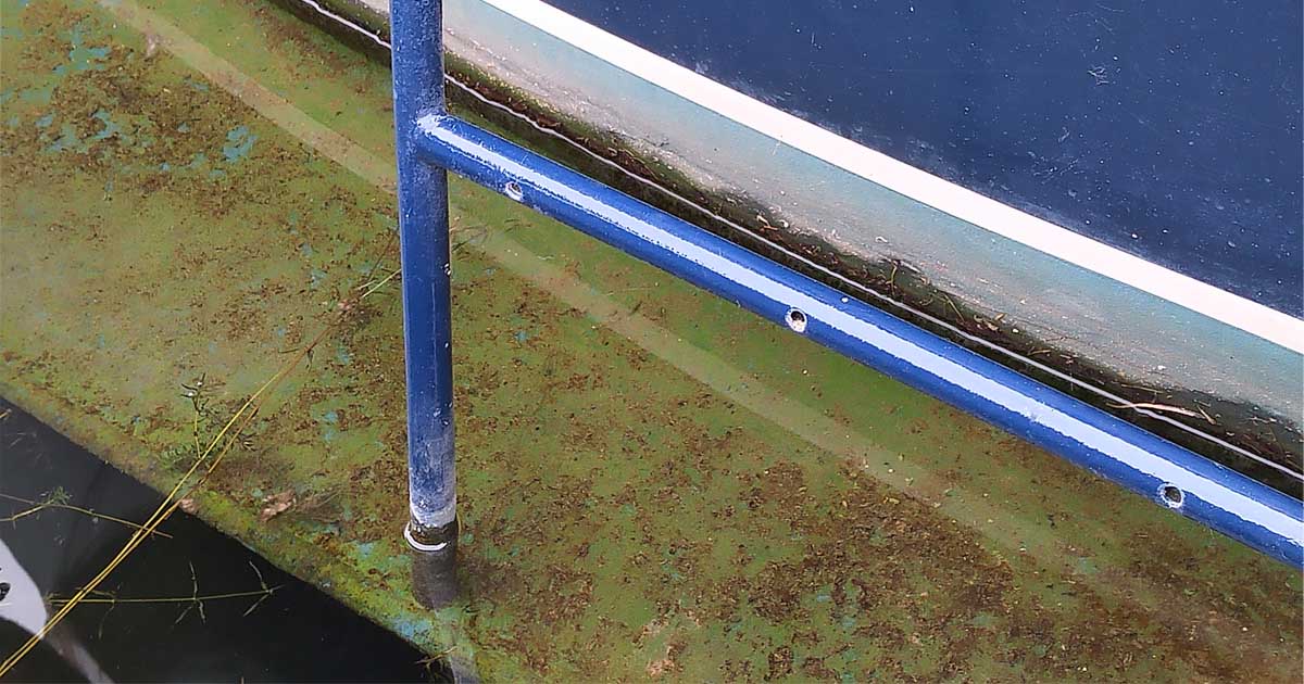 The challenges of marine biofouling